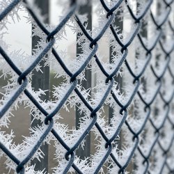 Winter II